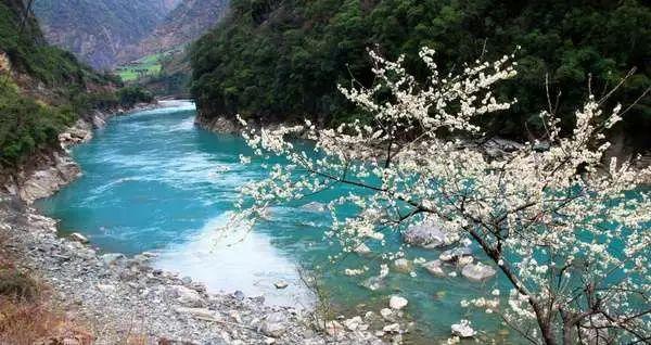 小红帽的冒险之旅